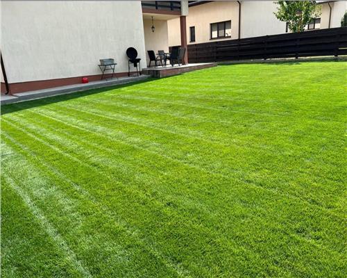 Casa 4 camere Valea Lupului,mobilata utilata,Teren 500 mp,Garaj,0%Comision