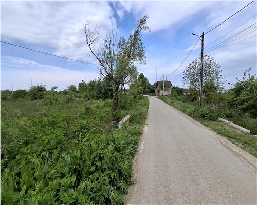 Toate Utilitatile!Teren Intravilan 3300 mp Paun Bucium