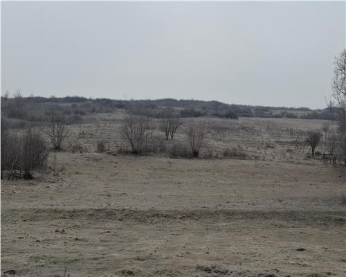 Teren Intravilan 79400 mp,Lunca Cetatuii,Ciurea Iasi